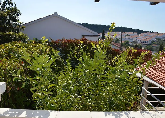 Marija Bajto Нечуям